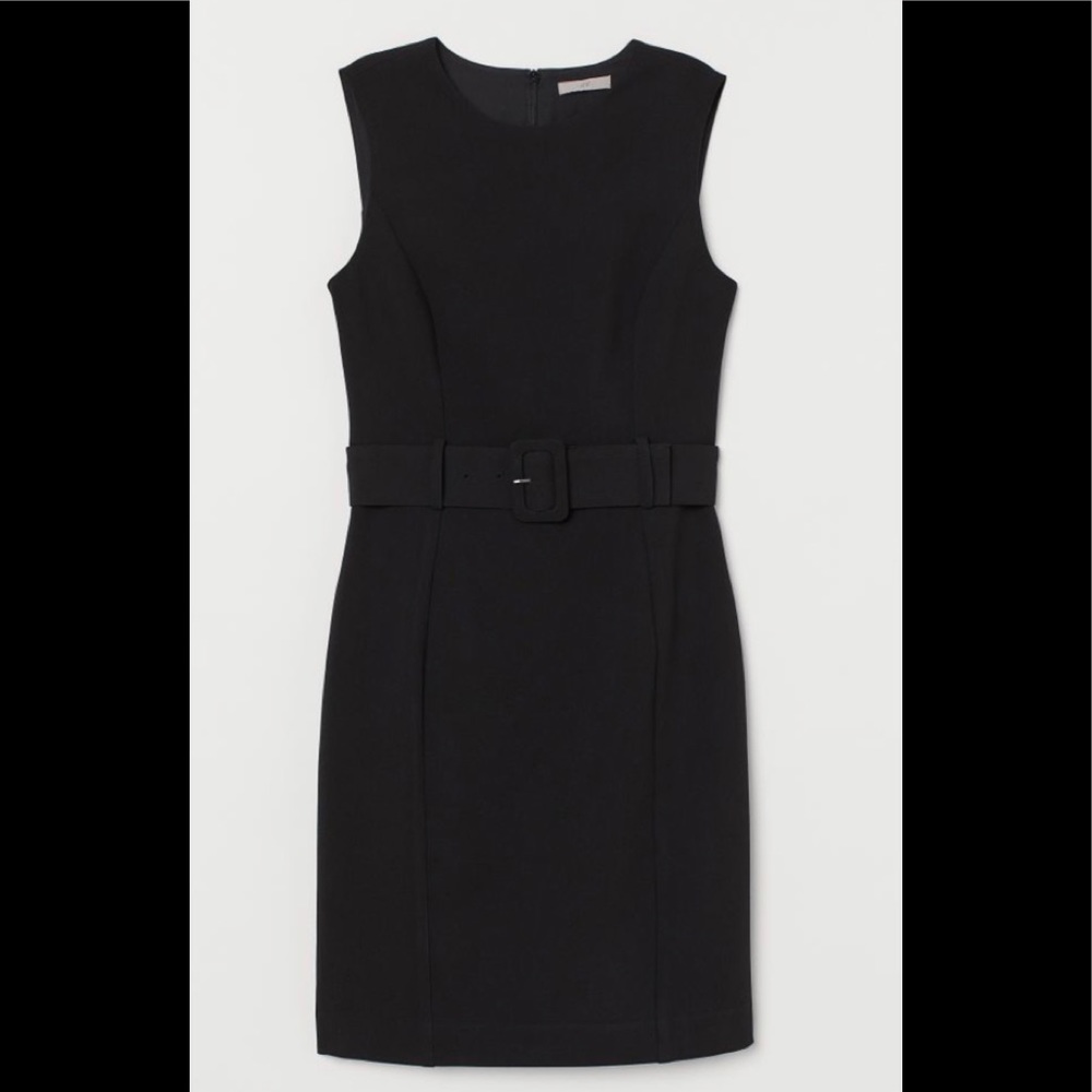 H&M Classic Belted Dress